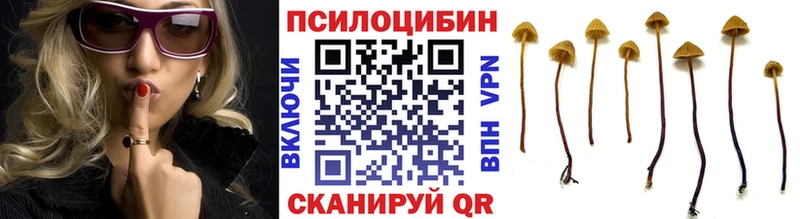 хочу   Новоуральск  Галлюциногенные грибы GOLDEN TEACHER 